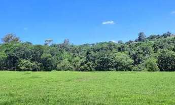 Imagem: Vendo lindo sítio em Araçoiaba da Serra