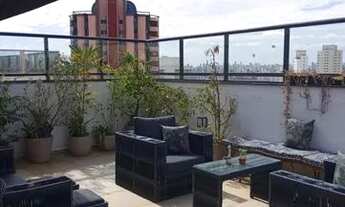 Imagem 2: COBERTURA - ACLIMAÇÃO - SP