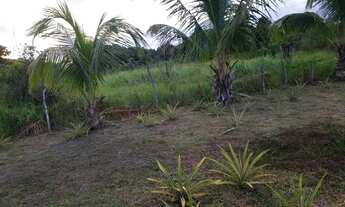 Imagem 2: Fazenda em São Sebastião do Passé