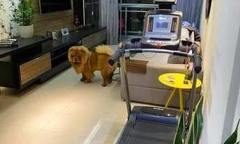 Imagem: Residencial Ilha Salina Apartamento com