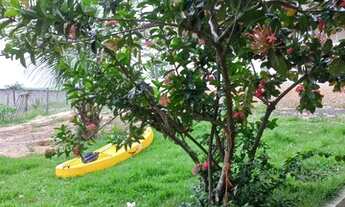 Imagem 5: Casa 350 m2 com 2q varadao , lagoa com DECK p/ barco,caiaque e pesca , terreno de 1