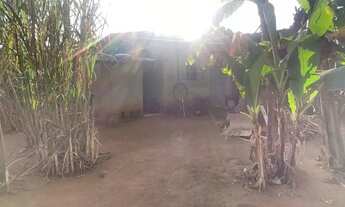 Imagem 6: Casa jardim Macaúbas