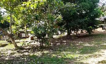 Imagem 4: Chácara Chácara com venda por R$85.000