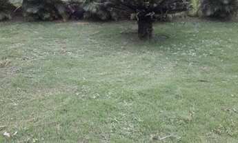 Imagem 5: Lote/Terreno para venda com 800 metros quadrados