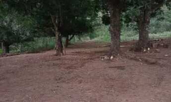 Imagem 2: Vendo uma chácara com 4 hectares (40,000m) - Aceita imóveis (-) valor