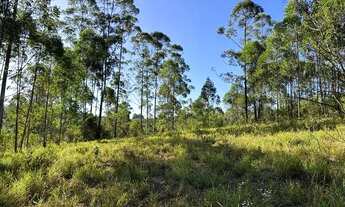 Imagem 6: Terreno 35.000m2 c/ água corrente, luz ao lado e ótima localização em Desterro de Entre Ri