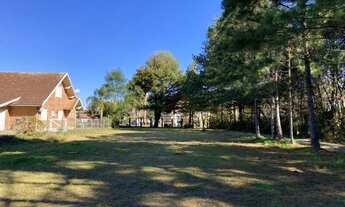 Imagem 5: Terreno no Centro de Canela!