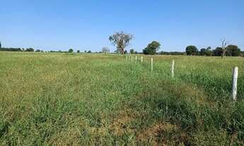 Imagem 2: 20 mil m² a 15 km de CG