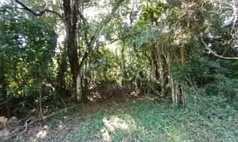 Imagem 3: Área de Terras Zona Rural Nova Hartz