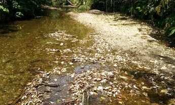 Imagem: Ótima oportunidade! Vendo fazenda com 2