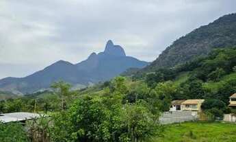 Imagem: Apartamento, Trapiche aluguel