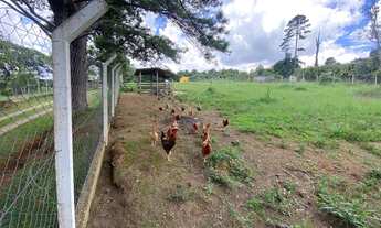 Imagem 6: Chácara de 8.000 m² em Mairinque