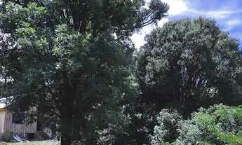 Imagem 7: Chácara na Serra Gaúcha