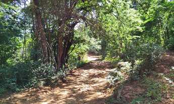 Imagem: VENDO SITIO NA ESTRADA DA PRODUÇÃO PROXIMO