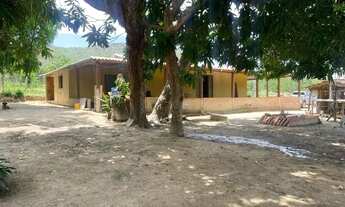 Imagem: Fazenda com 80 Alqueires em Niquelândia/GO