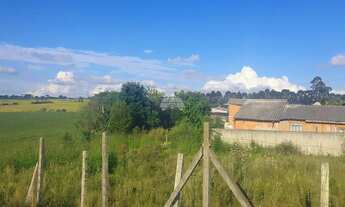 Imagem 2: Vendas Terreno São José Dos Pinhais PR