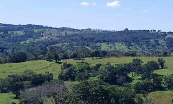 Imagem 7: Fazenda 19 Alq. em Abadiânia R$ 350 mil por Alqueire