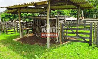 Imagem 4: Chácara 9 alqueires (43 hectares) Leopoldo de Bulhões - Go