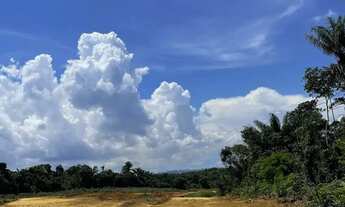 Imagem 7: PASSÁROS DA AMAZÔNIA Com vista privilegiada para Manaus e a Ponte Rio Negro mensais R$507
