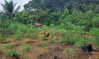 Imagem 7: Terreno Terreno / lote com venda por R$9.100