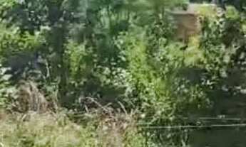 Imagem 3: Excelente Rancho na Serra da Mesa