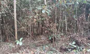 Imagem 4: Terrenos Terreno / lote com venda por R$70.000