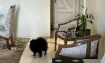 Imagem 3: A VENDA APARTAMENTO 3QUARTOS 1 SUÍTE DEPENDÊNCIA DE EMPREGADA 1 VAGA BAIRRO ESTREITO