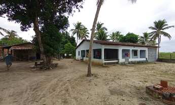 Imagem 5: Sítio para vender ( Povoado Baixa de Areia