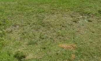 Imagem 4: Terreno de 250mt2 com valor de oportunidade