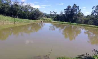 Imagem 5: Fazenda 19 Alq. em Abadiânia R$ 350 mil por Alqueire
