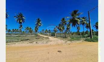 Imagem 6: Terrenos próximos ao mar em Sítio do Conde -Bahia