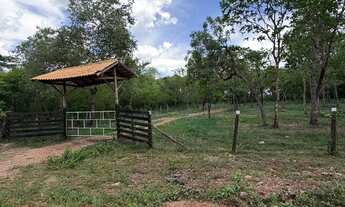 Imagem 5: Chacara às margens do rio Cuiabá dentro da cidade!