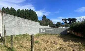 Imagem 4: Terreno à venda, 261 m² por R$ 186.500,00 - Guarituba - Piraquara/PR