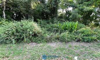 Imagem 5: Terreno a venda no bairro Cruzeiro com 3.846m²