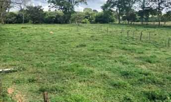 Imagem 6: Área de 5.270m2 localizada no Parque das Flores só R$ 550 mil