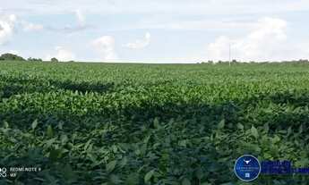 Imagem 2: Fazenda à Venda em Doverlândia GO | 433 Alqueires