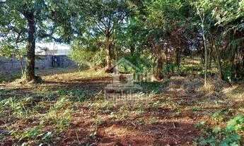 Imagem 6: Terreno para alugar, 5400 m² por R$ 6.000,00/mês - Ribeirânia - Ribeirão Preto/SP