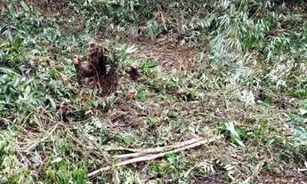 Imagem 4: 8 mil mts com.agua propria apenas 63mil reais