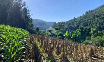 Imagem 2: Chácara com vista e riacho na Serra Gaúcha