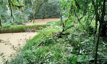 Imagem: Chácara com tanque de peixe em quitandinha