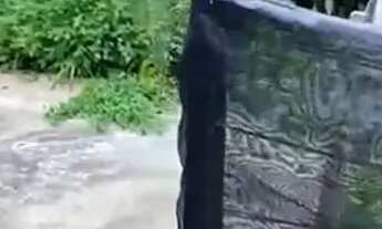 Imagem 3: Vende-se Casa térrea no morbidelli