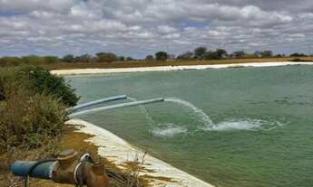 Imagem 2: Fazenda em Varzea Nova