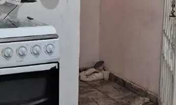 Imagem 4: Aluga-se Kit Net em vilar do teles