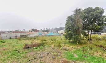 Imagem 5: Terreno Residencial para Venda em São José dos Pinhais