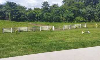 Imagem 2: Chácara 2,65 alqueires