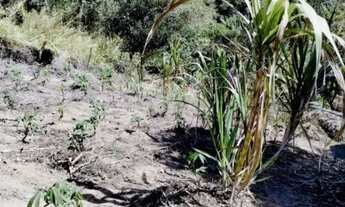 Imagem: Lumiar terreno 600 metros do centro