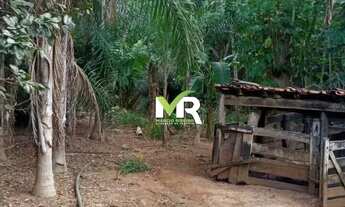 Imagem 6: Sítio de 2 Alqueires em Cristinópolis - GO a Venda!