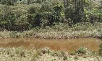 Imagem 6: Sítio 14 alqueires entre Pinda e Taubaté bairro Pouso Frio