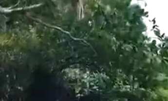 Imagem 2: Chácara na Vagem Bonita