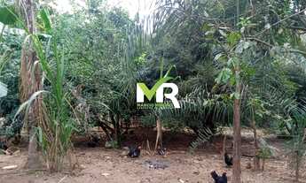 Imagem 7: Sítio de 2 Alqueires em Cristinópolis - GO a Venda!